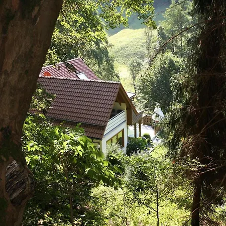 Appartement Haus Am Berg, Lonau